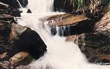玉龍?jiān)?、響水?></a></dd>
  <dd>
	 

	

	 

	　　雨母山西北一個(gè)山皂，東西縱向長(zhǎng)達(dá)1公里。有叫玉龍?jiān)恚薪许懰?。該皂有響水泉和響水瀑布。在玉龍?jiān)砼c九龍沖相隔的山坳，叫玉龍騰山坳，簡(jiǎn)稱玉龍坳。玉龍土皂現(xiàn)駐有供電所、林場(chǎng)和蒸湘區(qū)黨校。在玉龍?jiān)淼?，有一泉臺(tái)，叫玉龍臺(tái)。...[<a href=