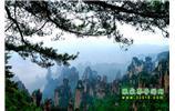 【純玩獨(dú)立成團(tuán)線路1】張家界、袁家界、天子山、寶峰湖/黃龍洞二晚三日