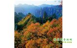 長沙往返張家界、天子山、寶峰湖/黃龍洞三日游