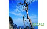 湘西之旅：張家界、天子山、寶峰湖/黃龍洞、鳳凰古城、猛洞河漂流、天門山六日游