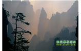 張家界國(guó)家森林公園、寶峰湖/黃龍洞、鳳凰古城、三峽八日游