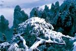 【純玩拼團線路18】下午班：鳳凰古城、張家界、天子山三晚四日游