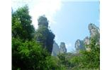 【純玩拼團(tuán)線路 張家界出發(fā)A2線】張家界、袁家界、天子山、金鞭溪、鳳凰古城2晚3日游